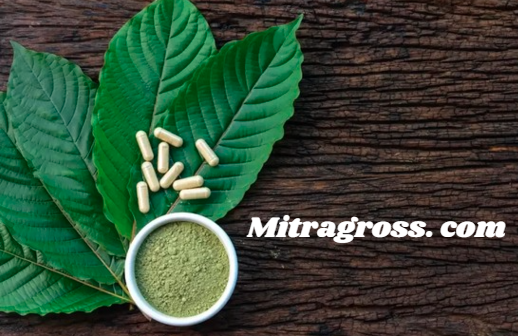 Mitragross. com: Your Ultimate Source for Premium Kratom Products